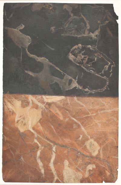 Esquisse de deux types différents de marbrure, une noire et une rouge ocre - Lambert van Haven
