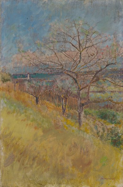 Vallée avec arbres en fleurs, 1890-1900 - Laszlo Mednyanszky