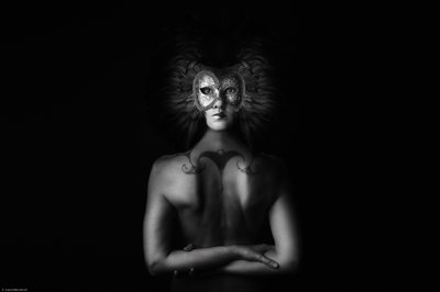 La mystérieuse femme masquée - Laura Benvenuti