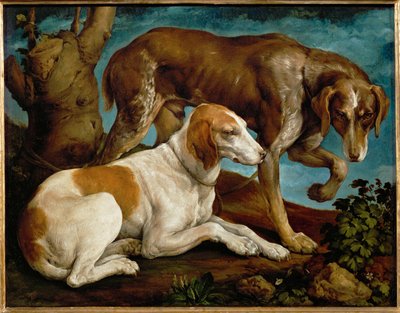 Deux chiens de chasse lies a une souche - Deux chiens de chasse attachés à une souche ... - Leandro da Ponte Bassano