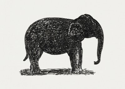 Elephant (vers 1891–1941) - Leo Gestel