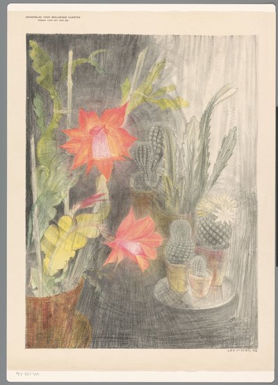 Pots avec cactus et plante en fleur - Leo Visser