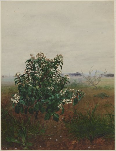  - Léon Bonvin