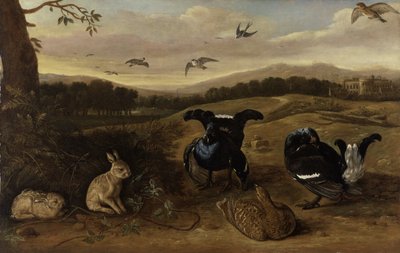 Gibier noir, lapins et hirondelles dans un parc, vers 1700 - Leonard Knyff