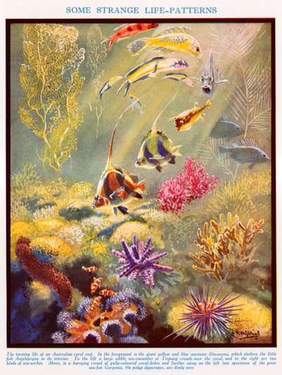  - Leonard Robert Brightwell