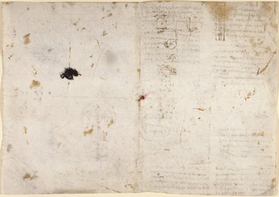 Dessins sur les pouvoirs et forces mécaniques, percussion, gravité, mouvement, optique et astronomie, avec diverses propositions arithmétiques et géométriques - Leonardo da Vinci