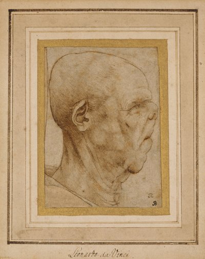 Caricature de la tête d