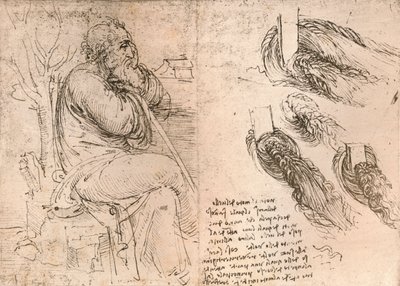 Dessin illustrant la représentation des cheveux tombant en boucles, vers 1472-vers 1519 1883 - Leonardo da Vinci