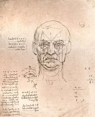 Dessin illustrant la théorie des proportions dans la figure humaine, vers 1472-1519, 1883 - Leonardo da Vinci