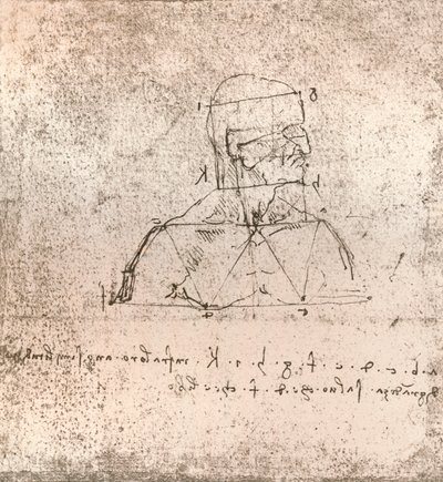 Dessin illustrant la théorie des proportions de la figure humaine, vers 1472-1519 1883 - Leonardo da Vinci