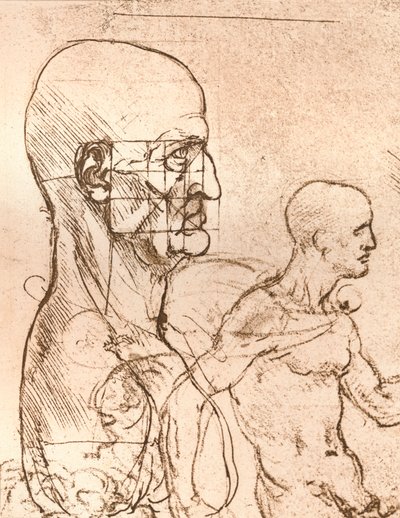Dessin illustrant la théorie des proportions de la figure humaine, vers 1472-1519, 1883 - Leonardo da Vinci
