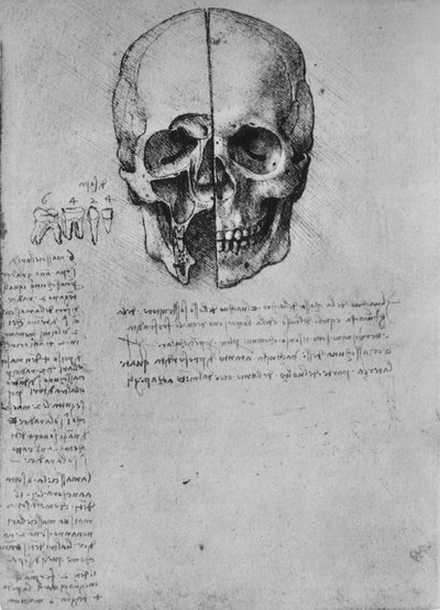 Dessin de deux moitiés d
