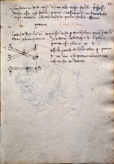 Extrait du livre de peintures, du Codex Trivulzianus - Leonardo da Vinci