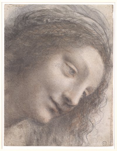 Tête de la Vierge, 1508-1512 - Leonardo da Vinci