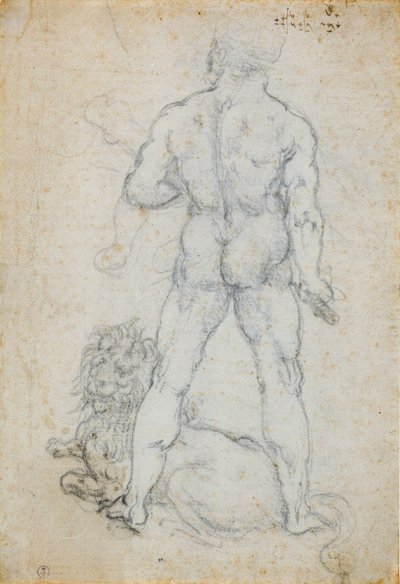 Hercule et le lion de Némée, c. 1506-08 - Leonardo da Vinci