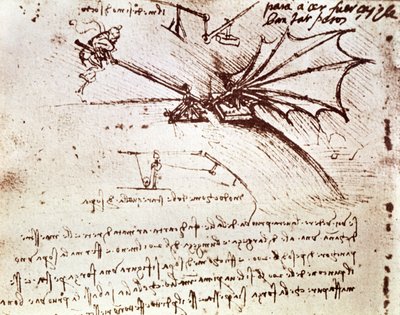 MS B fol.88v Test de la tolérance de charge d