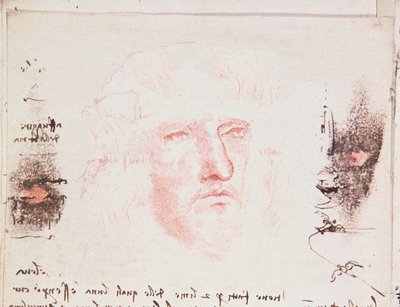 Notes sur les changements de direction en vol, page manuscrite de Codici Rari III 35.2, fol. 10v du Traité sur le vol des oiseaux, 1505 - Leonardo da Vinci