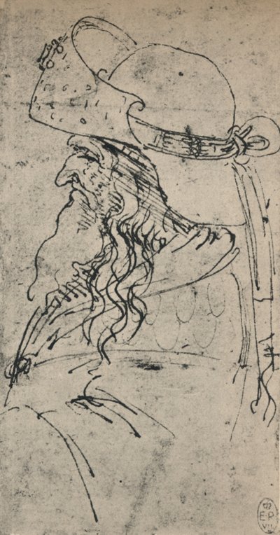 Profil à gauche d