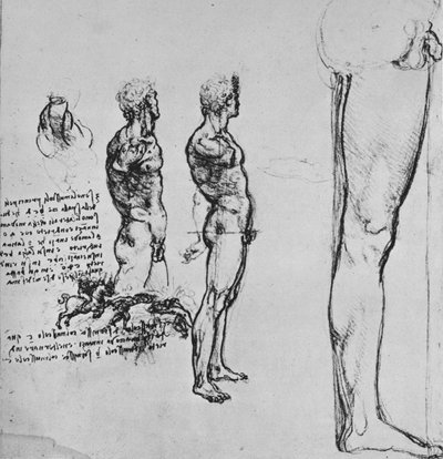 Études de nus et petite esquisse d