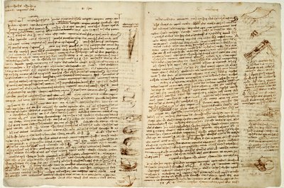 Le Codex Hammer ou Codex Leicester, 1508-12 - Leonardo da Vinci