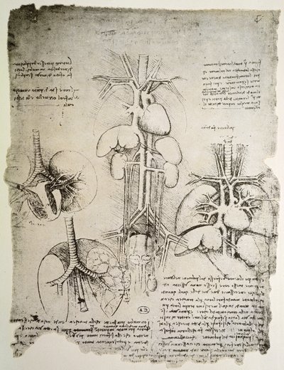 Le cœur et la circulation, fac-similé du livre de Windsor - Leonardo da Vinci