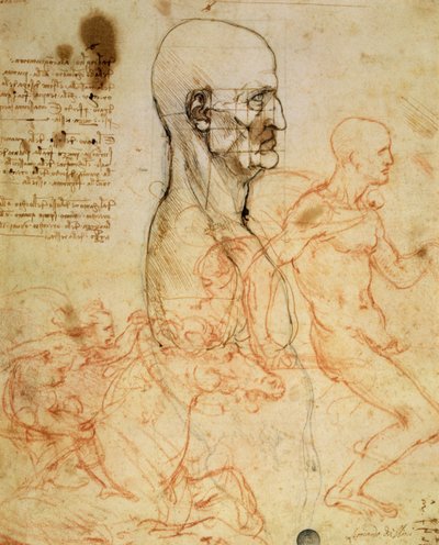 Torso d