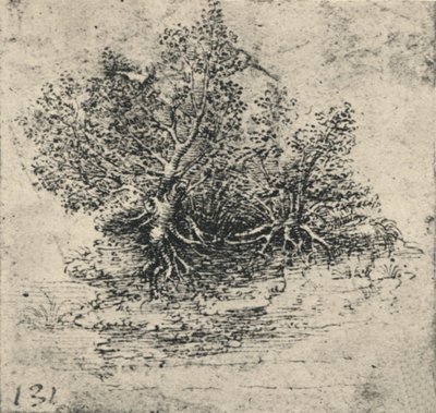 Deux arbres sur la rive d