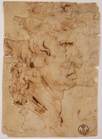 Image inconnue - Leonardo da Vinci