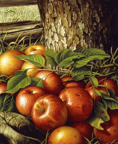 Pommes et tronc d