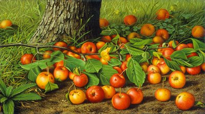 Nature morte avec des pommes près d