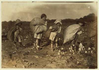 Edith 5 ans et Hughie 6 ans cueillent du coton toute la journée, Alton 7 ans cueille 50 livres et Ruth 9 ans cueille 75, à la ferme de H.M. Lane, Bells, Texas, 1913 - Lewis Wickes Hine