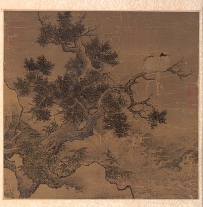 Oiseaux sur un arbre au-dessus d
