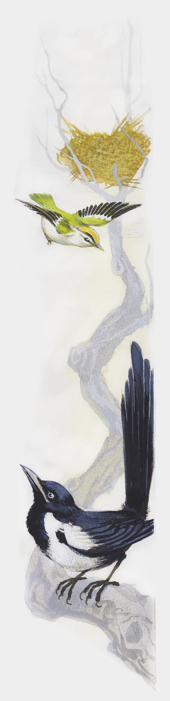Oiseau construisant son nid dans un arbre, tandis qu