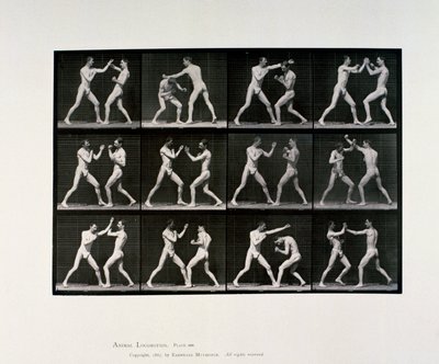 Athlètes masculins nus boxant, vers 1872-1885 - Unbekannt Unbekannt