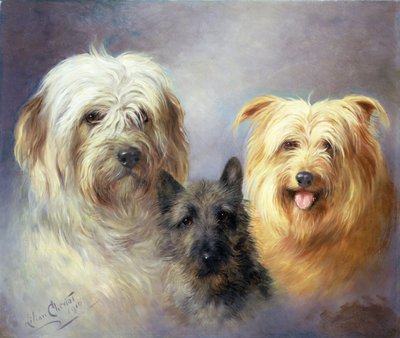 Un Tibétain, un Cairn et un Silky Terrier - Lilian Cheviot