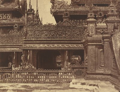Amerapoora : Une autre partie du balcon de Kyoung n° 86, du 1er septembre au 21 octobre - Linnaeus Tripe