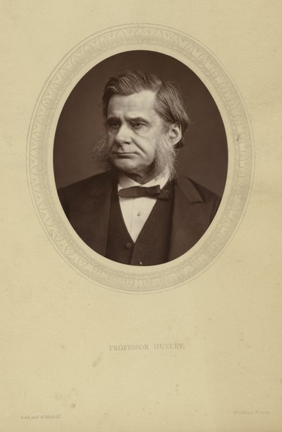 Portrait de Thomas Henry Huxley - Lock and Whitfield