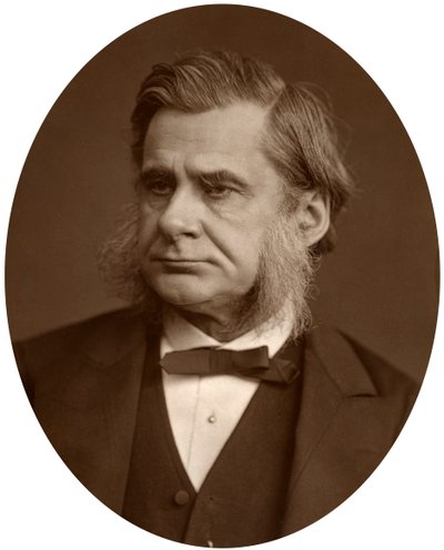 Professeur Thomas Henry Huxley - Lock and Whitfield
