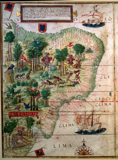 Carte hydrographique du Brésil - Lopo Homem