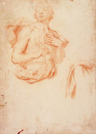 Jeune homme, mi-longueur avec torse nu, et étude de draperie - Lorenzo Lippi