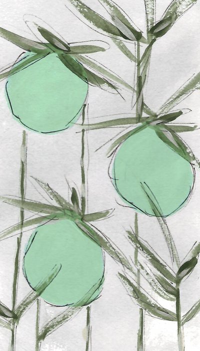  - Lori Ann Folz