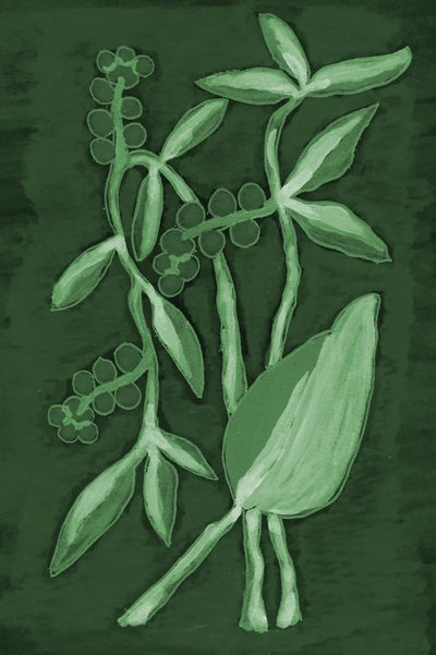 Nuances botaniques de vert - Lori Ann Folz