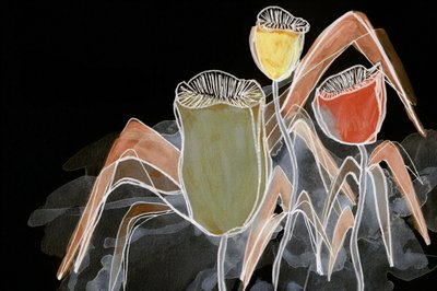 Capsules botaniques sombres - Lori Ann Folz