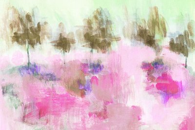 Un champ rose de rêve - Lori Ann Folz