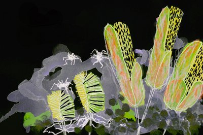 Jardin nocturne lumineux - Lori Ann Folz
