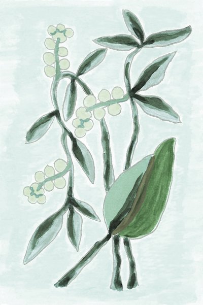 Aquarelle botanique verte - Lori Ann Folz