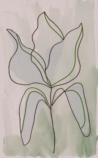 Contour botanique minimaliste - Lori Ann Folz