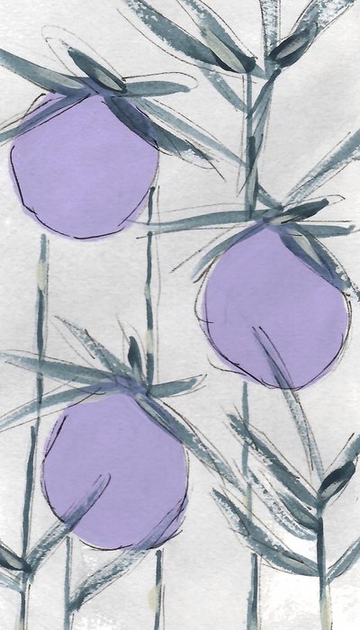Fruits botaniques violets - Lori Ann Folz