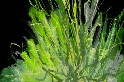 Abstrait vert vif - Lori Ann Folz