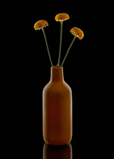 Vase marron « Warm Flowers » - Louie Luo